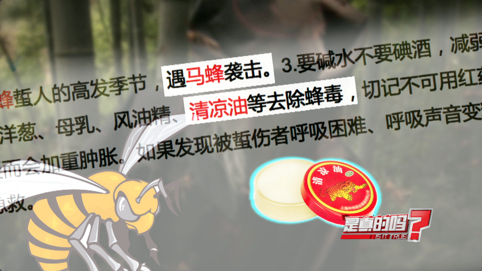 蛊惑:正版精准资料全年免费,警惕虚假宣传、全面解答与解释